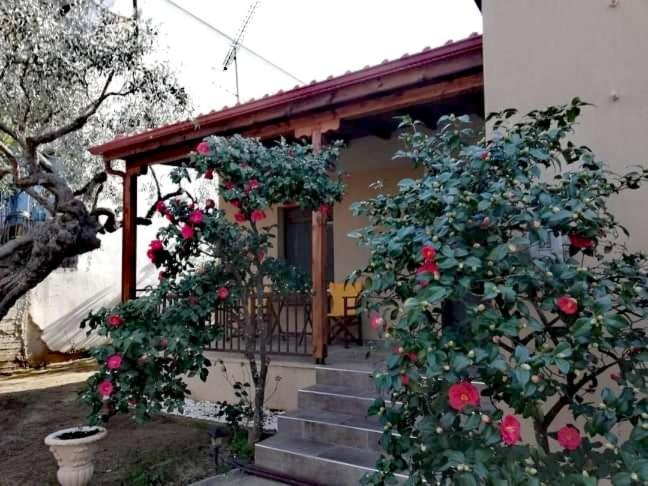 John And Tania'S Garden Villa Prinos  Exterior photo